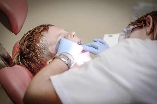 Dog receiving a dental examination