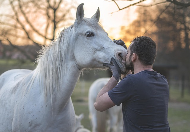 Portrait of Dr. Ben Carter, Animal Behaviorist